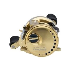Shimano Calcutta Conquest A Casting Reel -Fishing Shop 2a8eeee7ba52cea5ef1d3fd8977c901252204726
