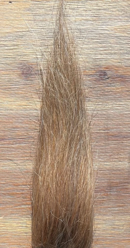 Squimpish Hair 2 Squimpish Hair - Image 2