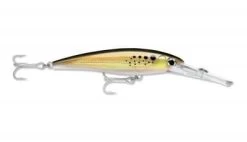 Rapala X-Rap Magnum -Fishing Shop 4001151 rapala x rap magnums bunker