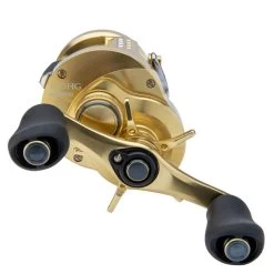 Shimano Calcutta Conquest A Casting Reel -Fishing Shop 4c2d7bef38eb4a56bee51e58e8fffd96ccec0f9b