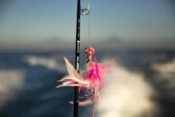 TFO Bluewater SG Fly Rod -Fishing Shop Bluewater SG Key Product Gallery Photos 1 768x512 1