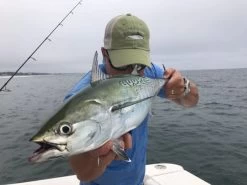 Saltwater Edge Albie Shootout 2023 Registration