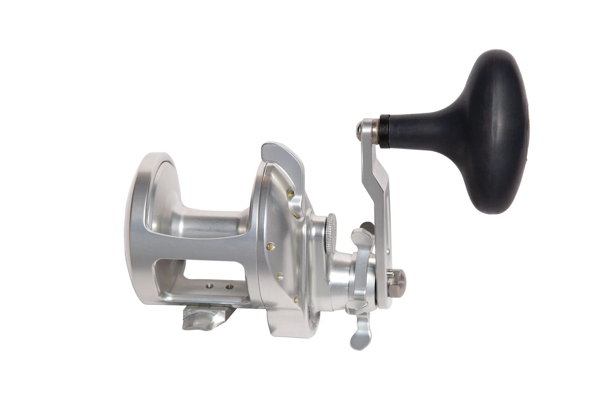 Accurate Tern 2 Star Drag Conventional Reels